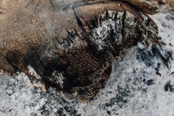 the ashes explained